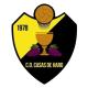 Escudo CD CASAS DE HARO